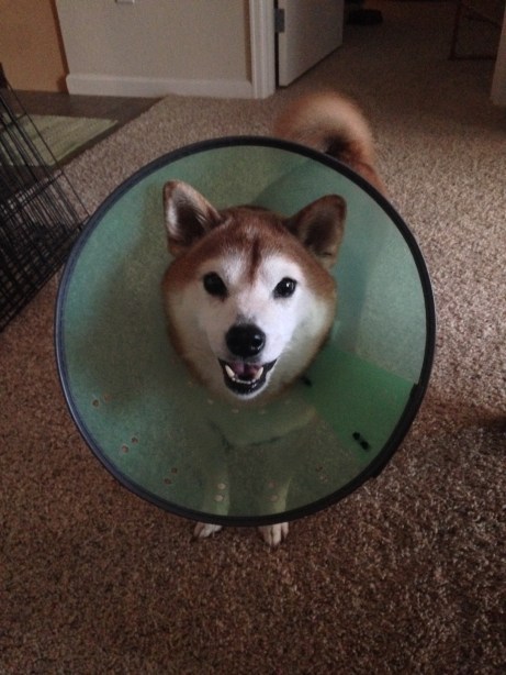 JennsPhoneJuly2015 281