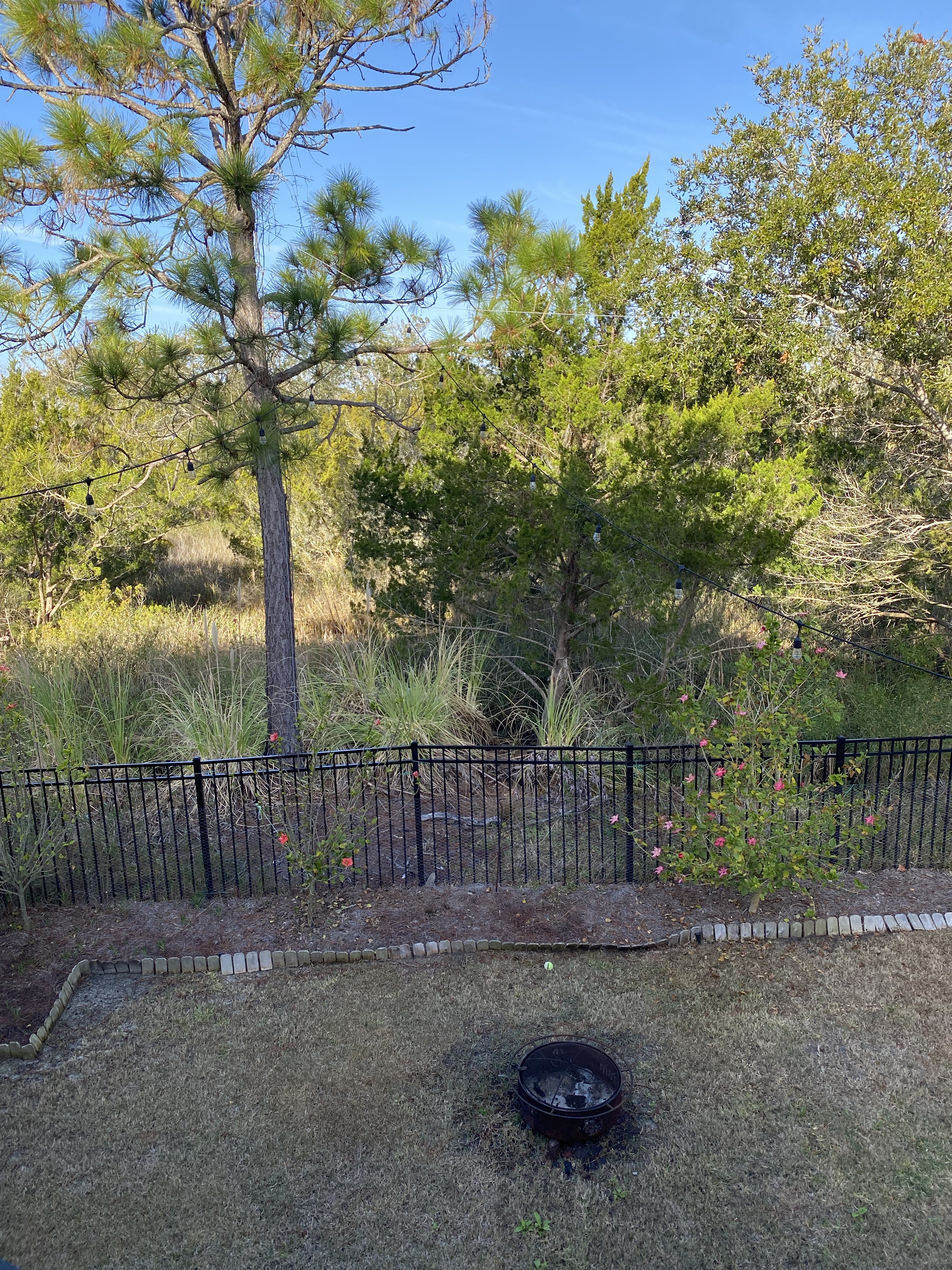 fv03fBJSTgeU3jKPZ5l4%w